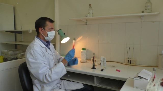 Методы идентификации микроорганизмов. Трехсахарный агар. Оксидазный тест. смотреть онлайн