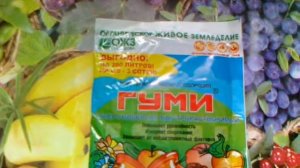 ГУМИ Кузнецова. Природный улучшитель почвы.