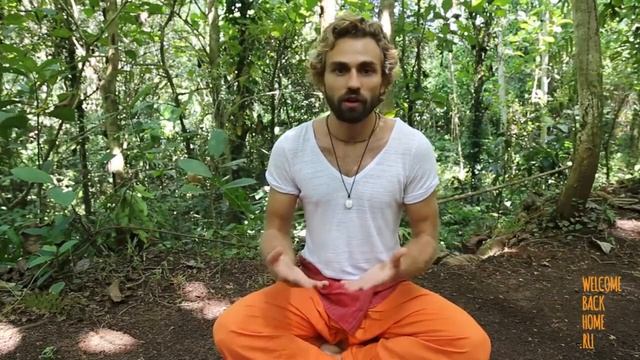 mind detox 21 теория День 11 Игорь Будников смотреть онлайн