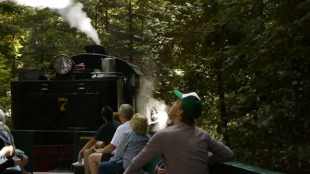 Roaring Camp and Big Trees Railroad смотреть онлайн