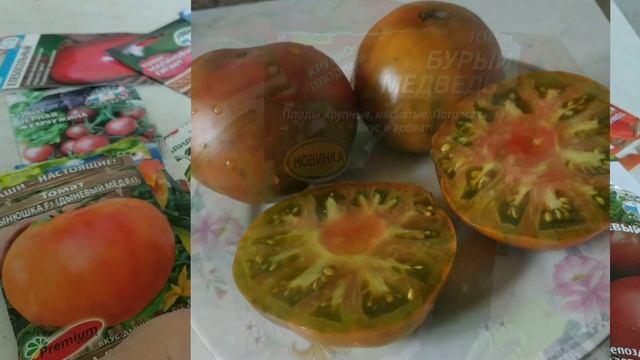 Самые вкусные и урожайные помидоры- биколоры.Люсид Джем,Дынюшка,Сержант Пеппер,Голубая красота. смотреть онлайн