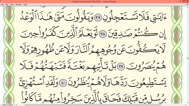 Practice Reciting With Correct Tajweed - Page 325 (Surah Al-Anbiya')