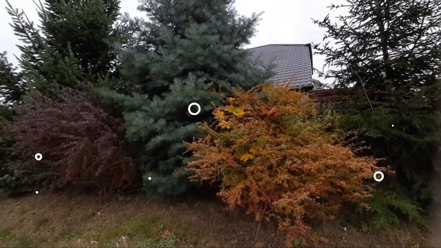 Жизнь в Польше. Куда пойти, что посмотреть? Какой Польши не видят туристы?