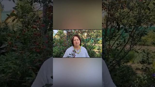 С Днём Рождения Вас, Фатима Ахсаровна!!! смотреть онлайн
