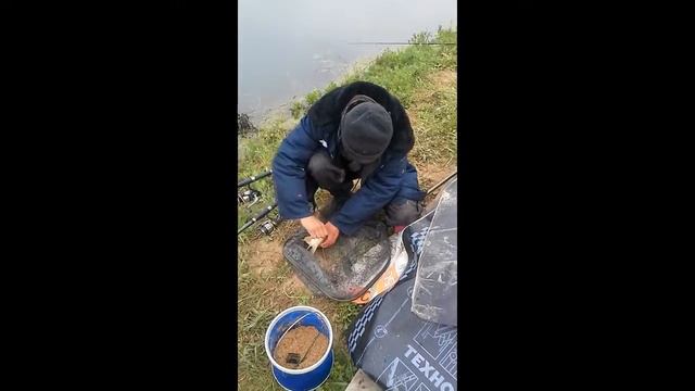 Рыбалка Экоранчо смотреть онлайн