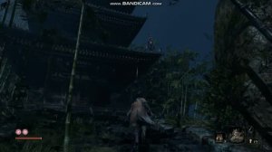 Sekiro где найти перья туманного ворона
