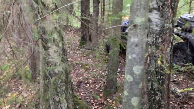 На квадроциклах ВЗОРВАЛИ болото! CAN-AM GIRL DOMINATES on the PUNISHER Vs POLARIS HIGHLIFTER 1000 смотреть онлайн