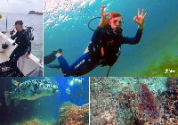 Дайвинг в Эль-Фуджайре, Оманский залив Индийского океана. ОАЭ 29.04.2024