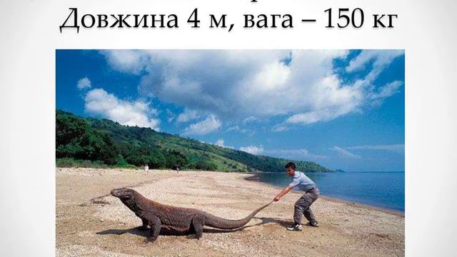 Тварини Азії смотреть онлайн