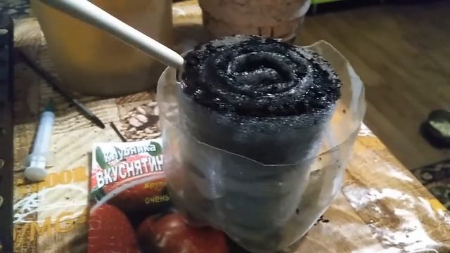 Посадка клубники в улитку. смотреть онлайн