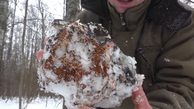 ГРИБ КОТОРЫЙ МОЖНО СОБИРАТЬ КРУГЛЫЙ ГОД! По ГРИБЫ в МАРТЕ! Трудный ПОХОД с МАЛЫШОМ! смотреть онлайн