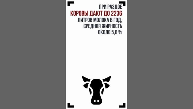 Якутская порода коров смотреть онлайн