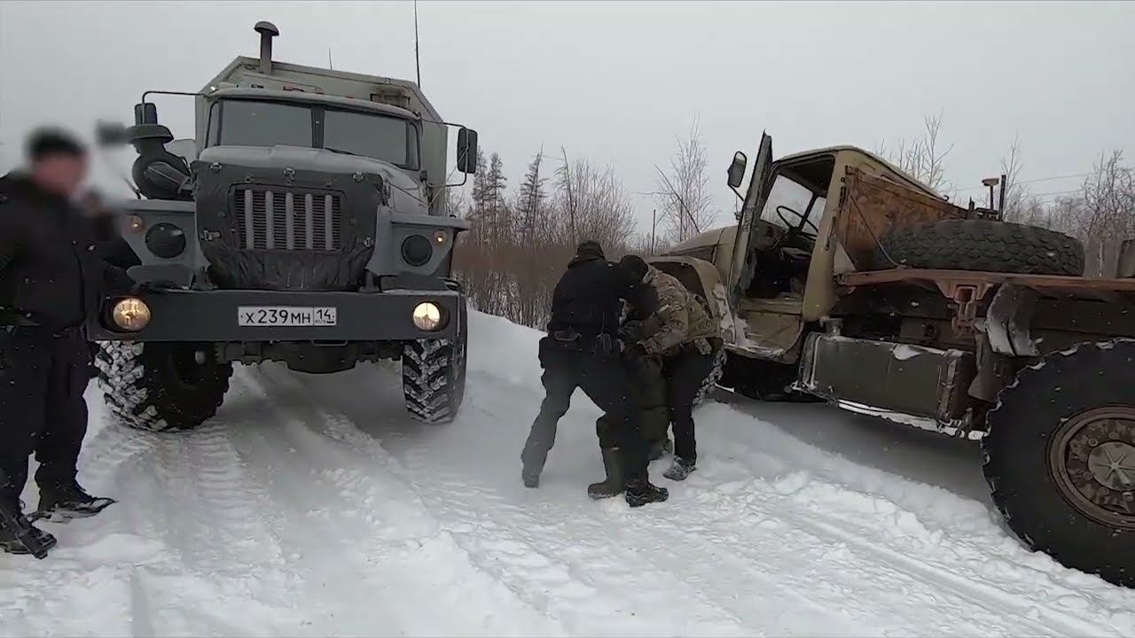 В Якутии полицейские пресекли коррупционные преступления черных лесорубов смотреть онлайн