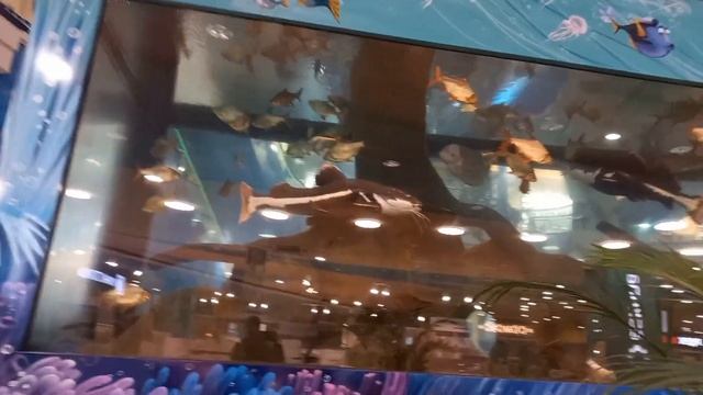 Сююююрприиииз??? смотреть онлайн