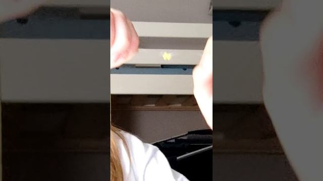 Бисерные сезоны