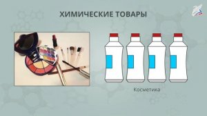 Химия в быту. Химическая промышленность и окружающая среда