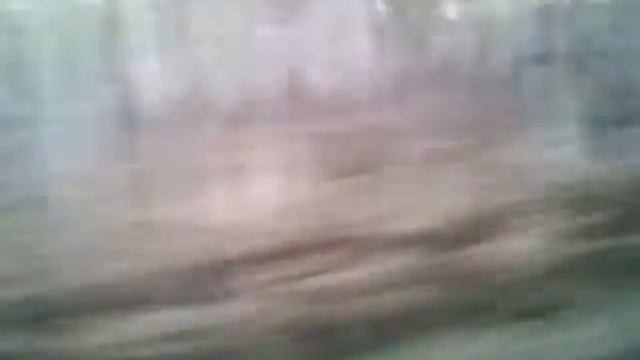 Путешествия на рыбалку в с.свердлово смотреть онлайн