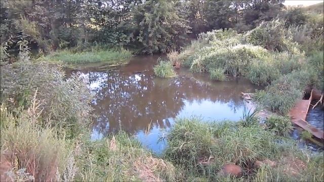 река Снежеть у трёх мостов Брянск смотреть онлайн