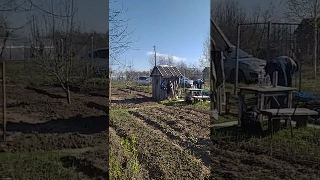 Санкции и как народ решает проблему дорогой картошки. Все поехали на дачу сажать картошку. смотреть онлайн