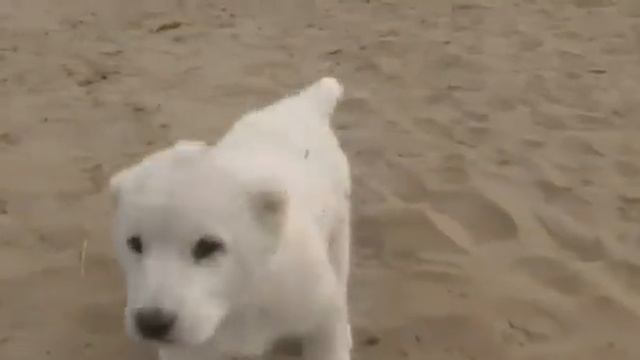 12 января 2024 г. смотреть онлайн