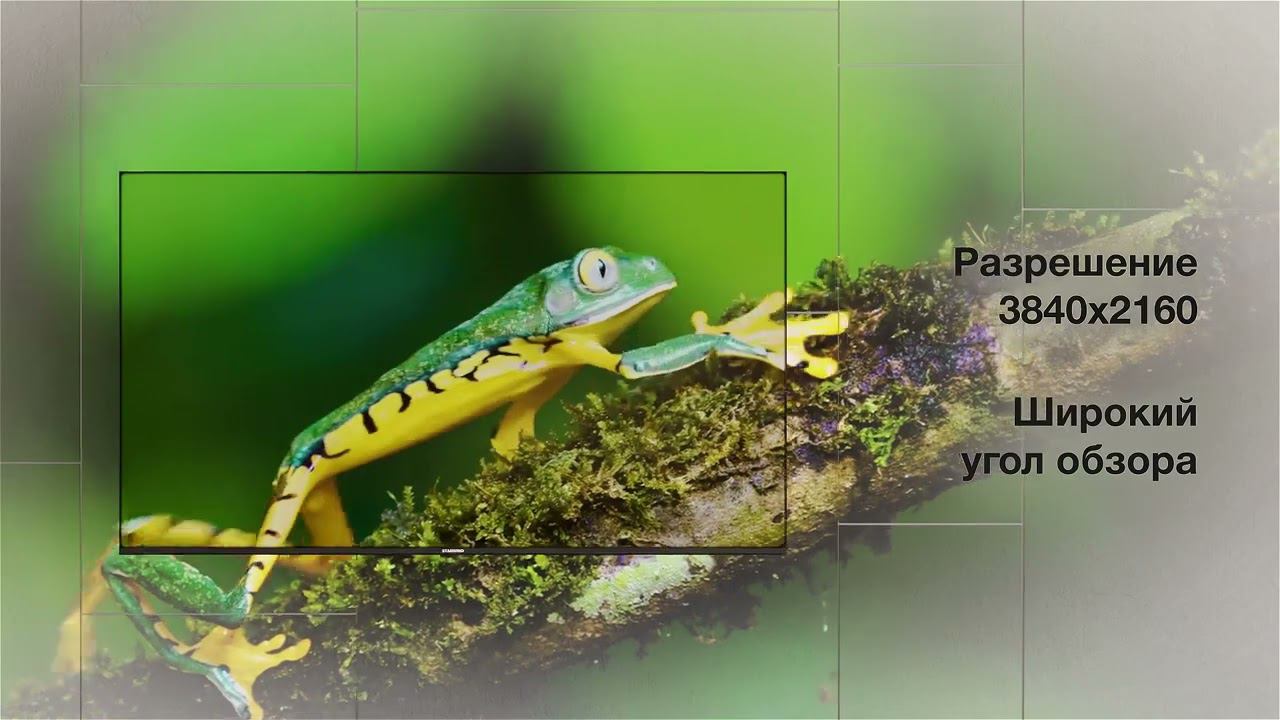 Starwind UG403   55'