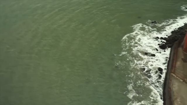 I Jumped Off The Golden Gate Bridge смотреть онлайн