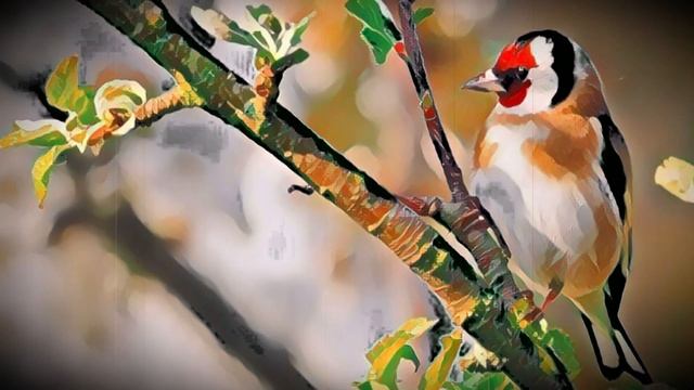 Goldfinch singing clean and spectacular The best bird singing to teach the young смотреть онлайн