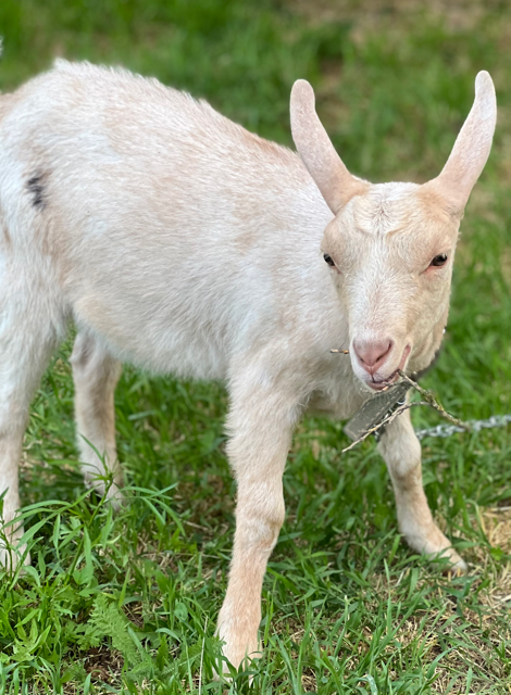 АСМР ОТ ИЗМЫ смотреть онлайн