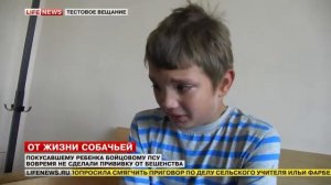 Покусавшему ребенка псу вовремя не сделали прививку от бешенства