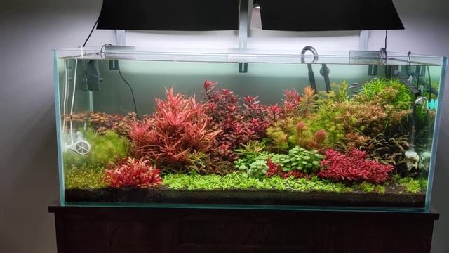 chihiros vivid 2 смотреть онлайн