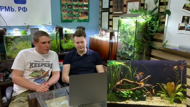 Интерактивный аквариумный туризм Сезон 4 Выпуск 26 - Кирилл Шаклеин (Две Половины)