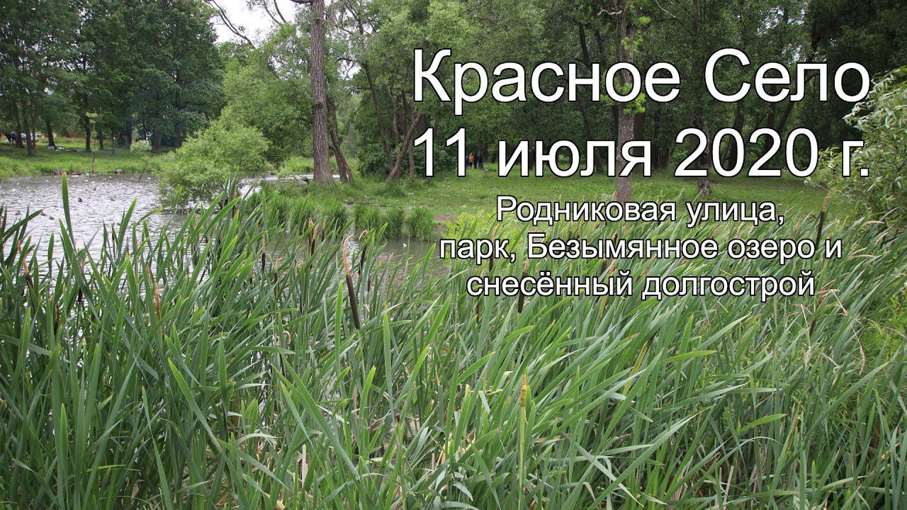 Красное Село 11.07.2020 г. смотреть онлайн