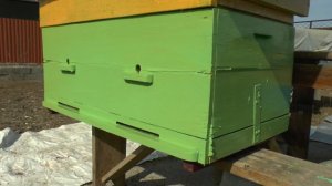 Никогда не красьте такой краской улья!