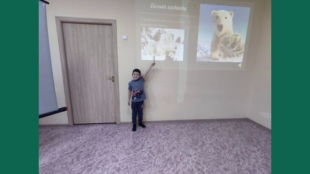 Всероссийский конкурс "Эколята" смотреть онлайн