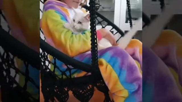 Короткий обзор на подвесное кресло - гамак смотреть онлайн