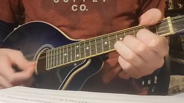 "The Gallowglass" (The Dance Music of Ireland #236) - January's Cloak смотреть онлайн