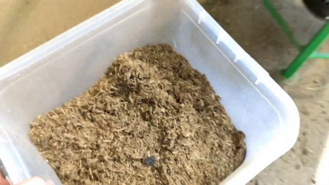 ТОРФОРЕЗКА ДЛЯ ЧЕРВЕЙ ДЕНДРОБЕНА И ККЧ смотреть онлайн