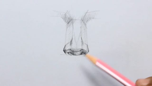 Pencil Sketch of Human Body Parts / Nose смотреть онлайн