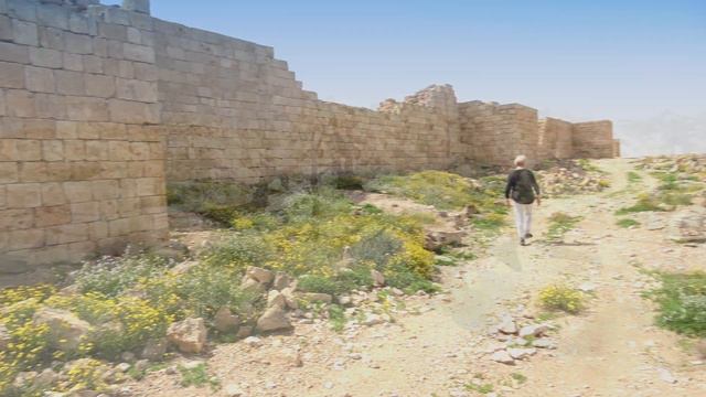 Древний город Набатеев АВДАТ смотреть онлайн