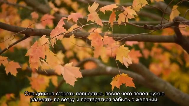 Заговоры на исполнение желания смотреть онлайн