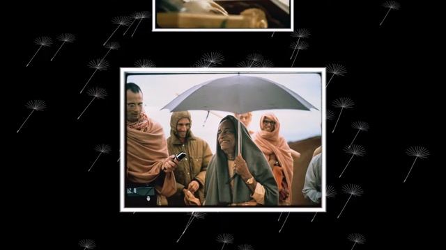 Джая Прабхупада смотреть онлайн