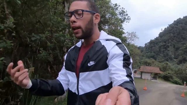 Colombia's Safest Travel: EJE CAFETERO (Armenia, Salento, & more...) смотреть онлайн