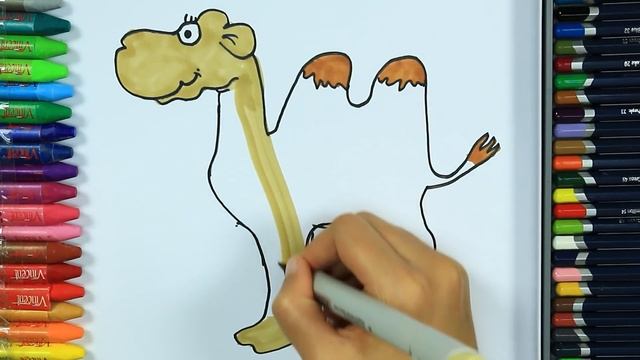 Как нарисовать верблюд ? | Раскраски детей HD | Окраска | Рисование и окраска | Рисование для детей смотреть онлайн
