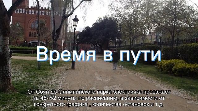 Об электричке Сочи — Олимпийский парк: как доехать от ЖД вокзала, расписание смотреть онлайн