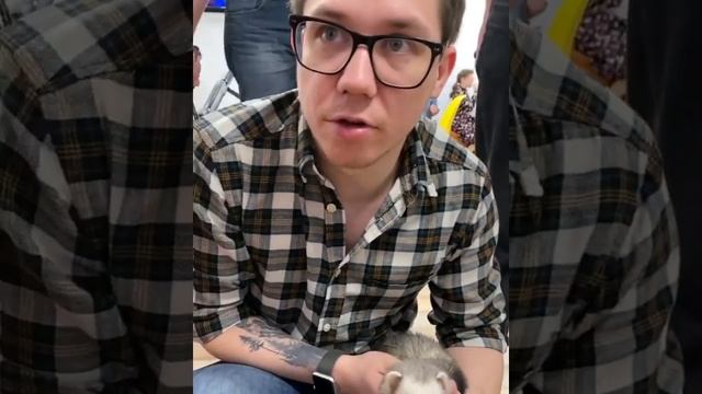 Ася - любимица сотрудников Первого канала смотреть онлайн