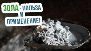 Применение древесной золы в саду и огороде в качестве удобрения и средства защиты от вредителей