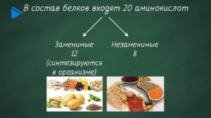 10 класс - Химия - Аминокислоты. Белки. Состав, структура белка. Химические свойства