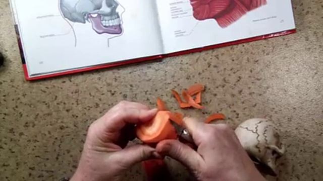 Что общего у кукол с Хеллоуином и Ядреной Феей? смотреть онлайн