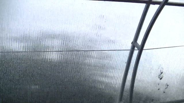 ТЕПЛИЦА "ПАВИЛЬОН 3М". ДВЕРИ КУПЕ И ГРЯДКИ В ТЕПЛИЦЕ. смотреть онлайн