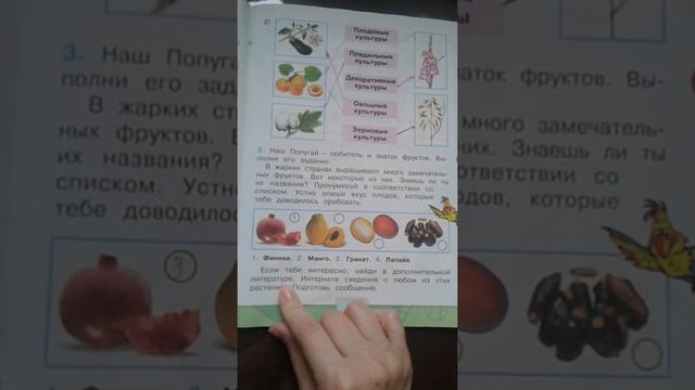 Окр мир 2класс стр 48-50 смотреть онлайн